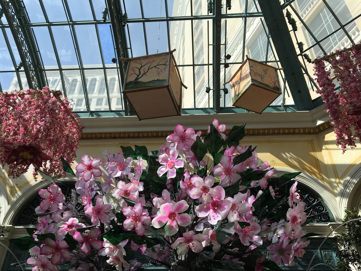 Pink Flowers and Ceiling